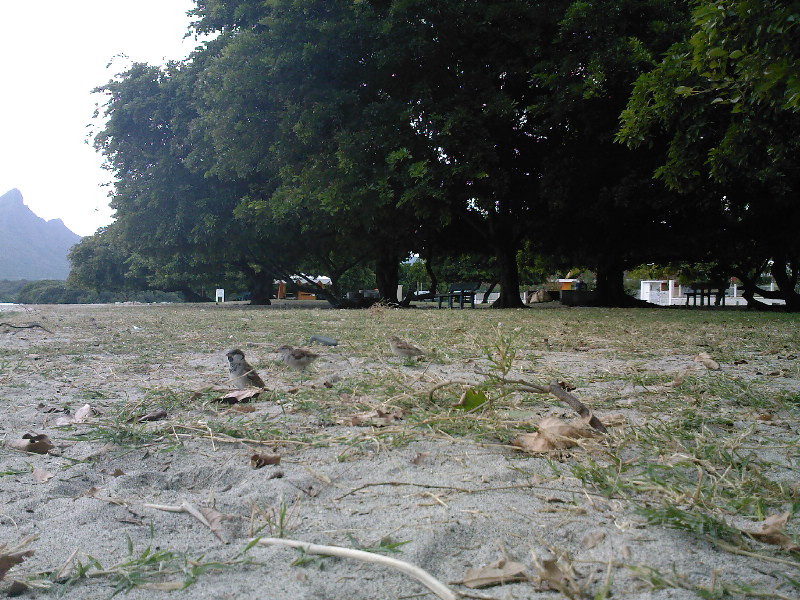 gal/Ile Maurice/SP_A0327_Tamarin_Hotel.jpg